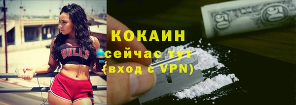 соль ск Заводоуковск
