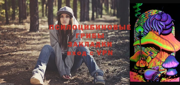 СК Заволжск