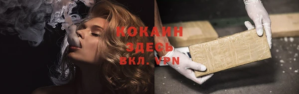 PSILOCYBIN Заволжье