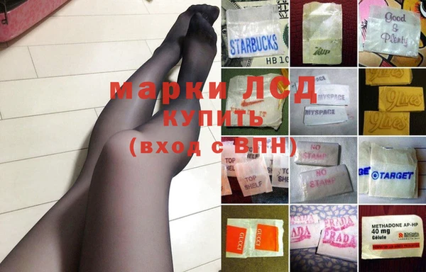 соль ск Заводоуковск