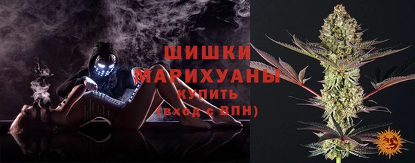 PSILOCYBIN Заволжье