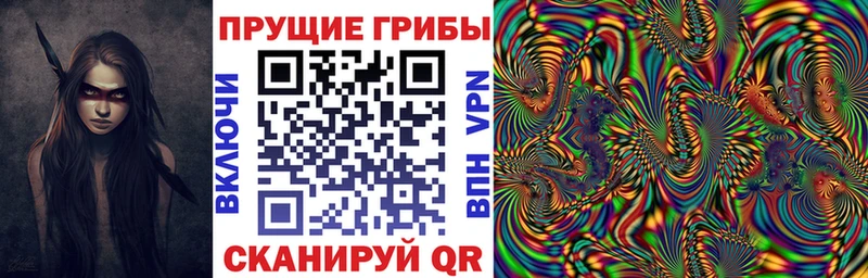 Купить где  Канск  Галлюциногенные грибы Cubensis 