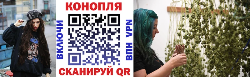 Марихуана конопля  Купить где  Канск 